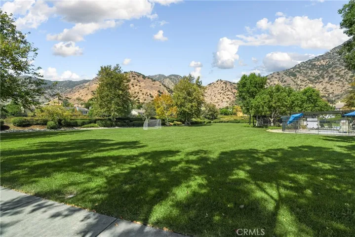 Community Park View 1