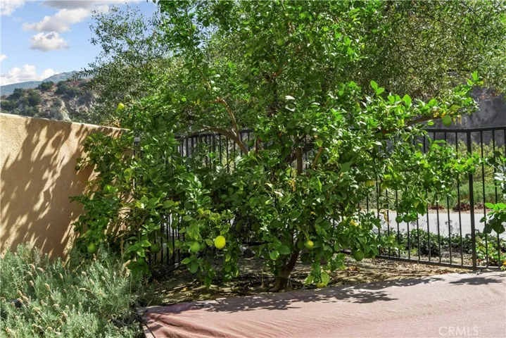 Exterior Fruit Tree