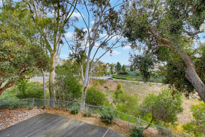 Balcony View of Canyon