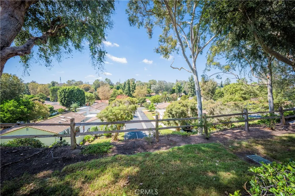 View from Spacious Patio