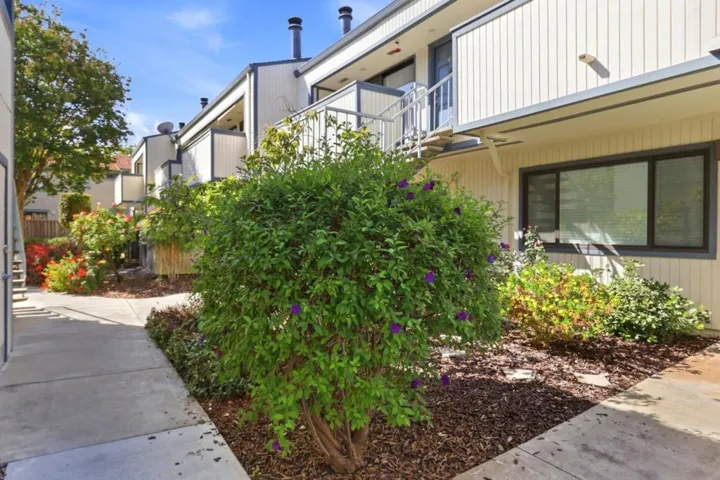 3597 S Bascom Avenue 43, Campbell, California 95008 — photo 4