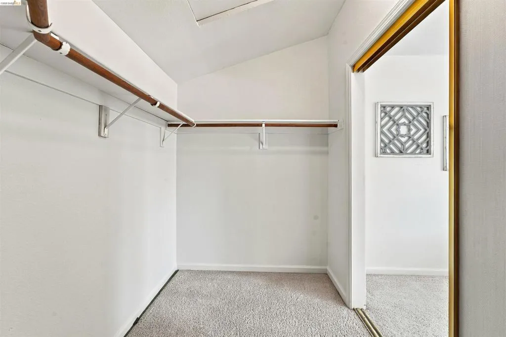 Carpeted closet with a sloped ceiling and built-in shelving