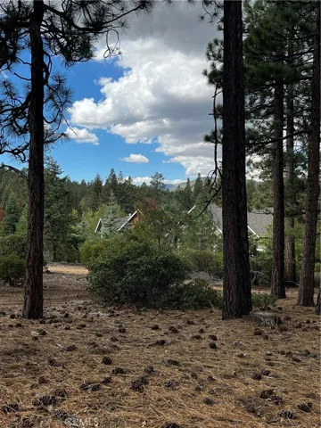 833 Great Spirits, Big Bear Lake, California 92315 — photo 4