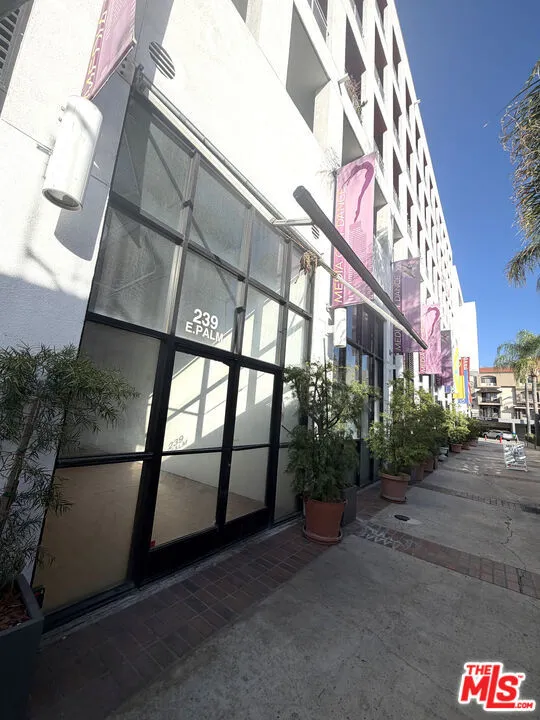 239 E Palm Ave