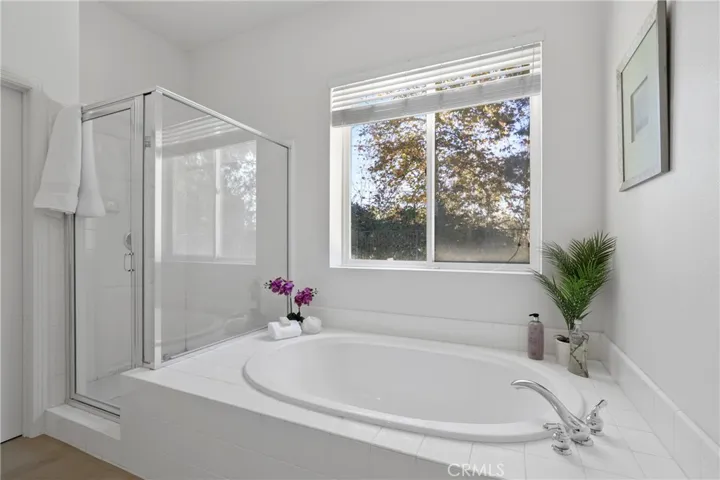 Soaking Tub and Walk-in Shower - Staged for Photo Only