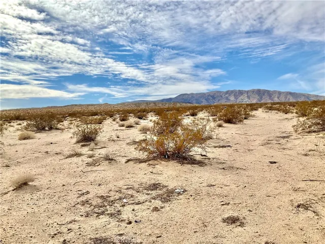 80767 29 Palms, 29 Palms, California 92277 — photo 4
