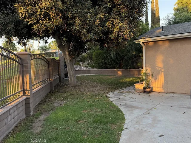 BACK YARD