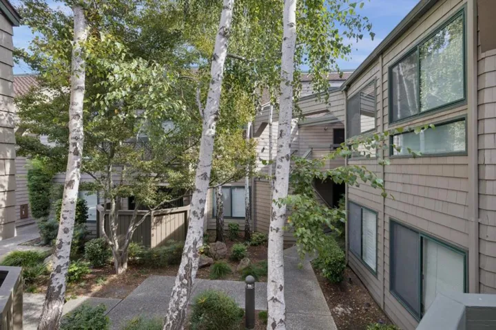20 Cove Lane, Redwood City, California 94065 — photo 4