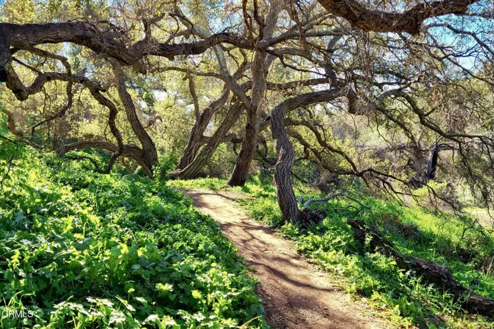 50-web-or-mls-UpmarketMedia-Harmon3
