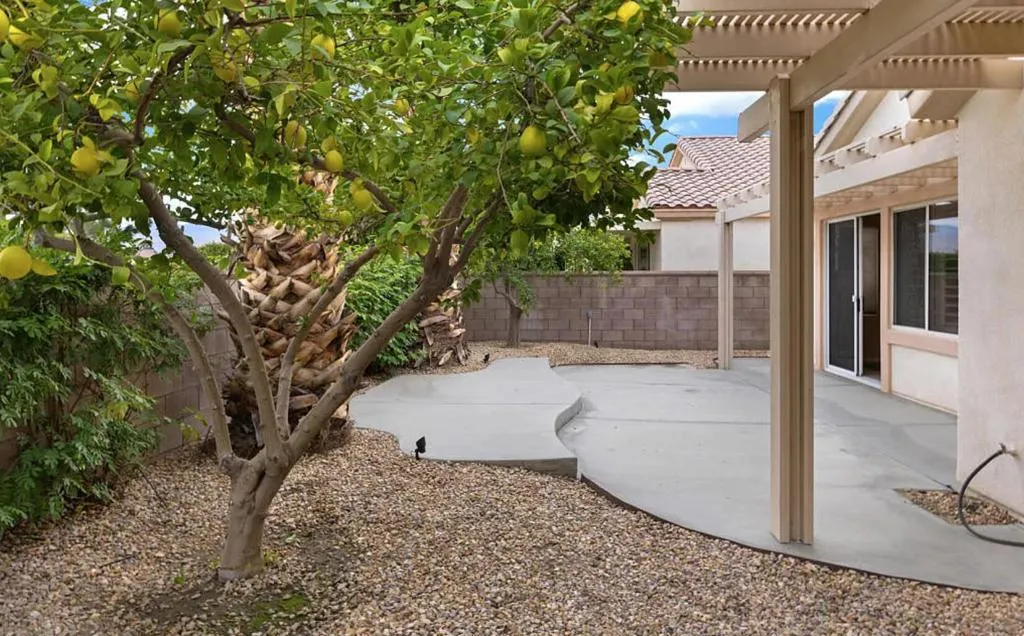 BACKYARD 3