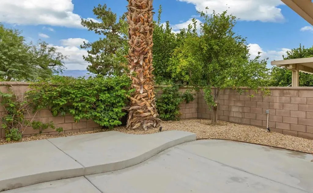 BACKYARD 1