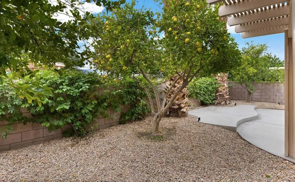 BACKYARD 2