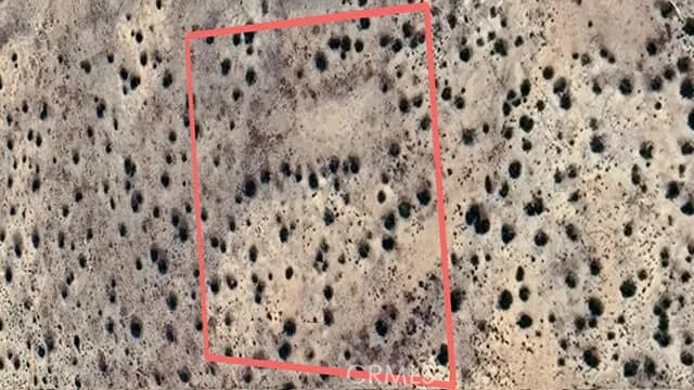 0 Lot