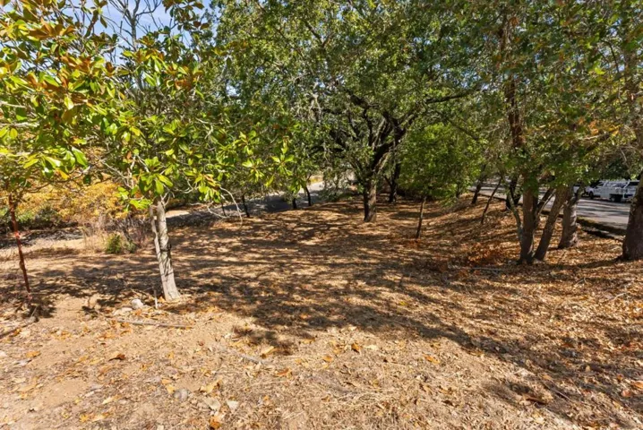 16099 Greenwood Road, Monte Sereno, California 95030 — photo 5