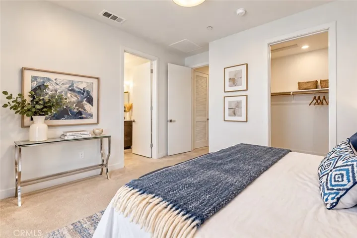 Primary Bedroom walk in closet