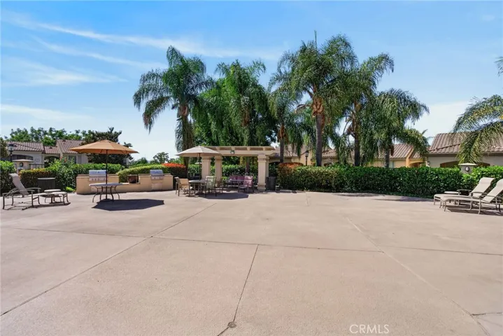 BBQ and outdoor dining/gathering