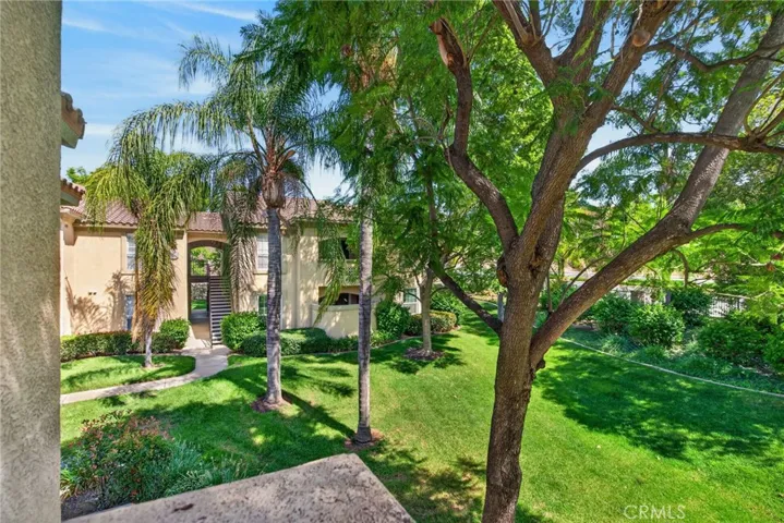 beautiful lush views from patio