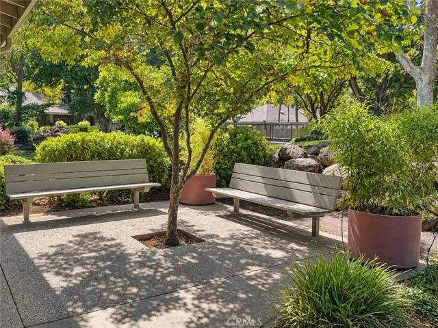 1560 Humboldt Road 2, Chico, California 95928 — photo 4