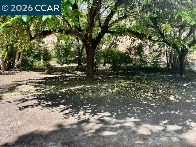 Portion of Rear Yard