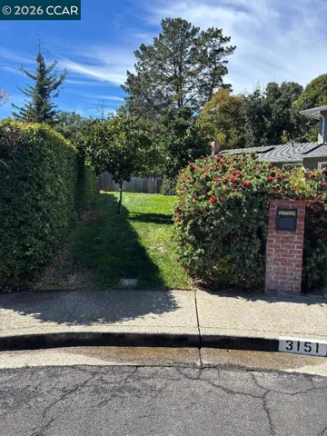 Left Front Sideyard