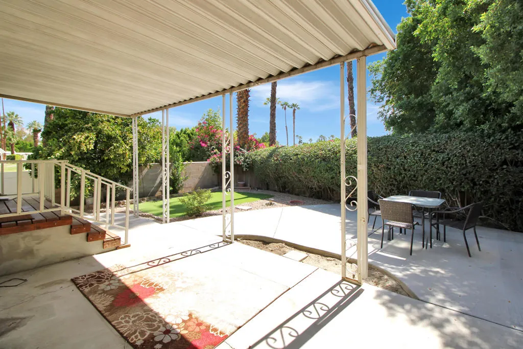 Lovely Yard with Orange Tree