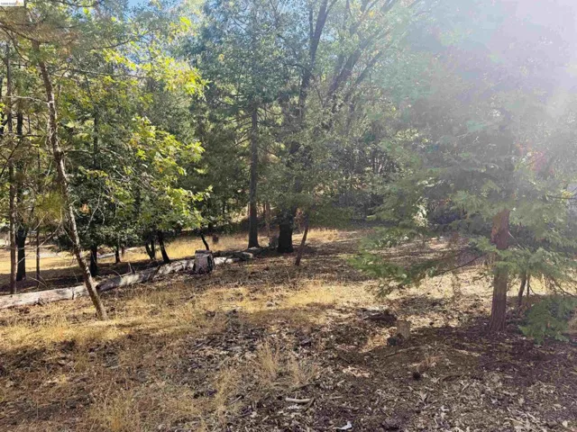 0 American River, Sonora, California 95370 — photo 4