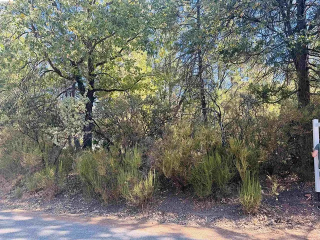 0 American River, Sonora, California 95370 — photo 5