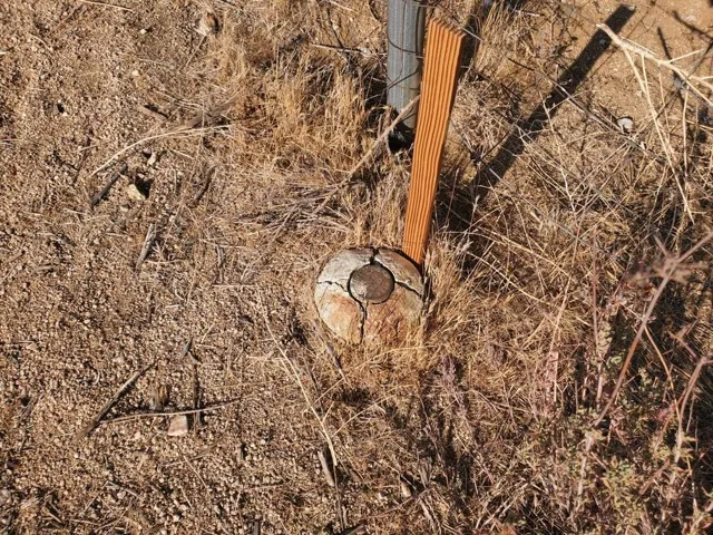 Survey Pin
