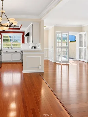 Living room and kitchen