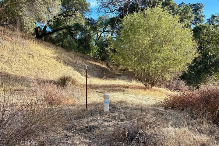 13 Bryson Hesperia Road, Bradley, California 93426 — photo 5