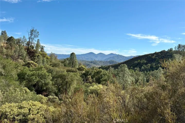 13 Bryson Hesperia Road, Bradley, California 93426 — photo 4