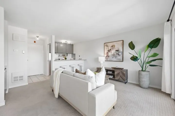 833 N Humboldt Street 504, San Mateo, California 94401 — photo 4