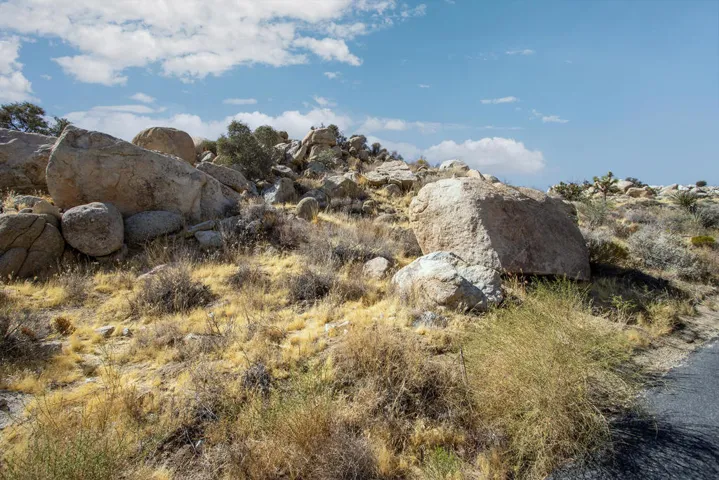 204 Bandera Road, Yucca Valley, California 92284 — photo 5