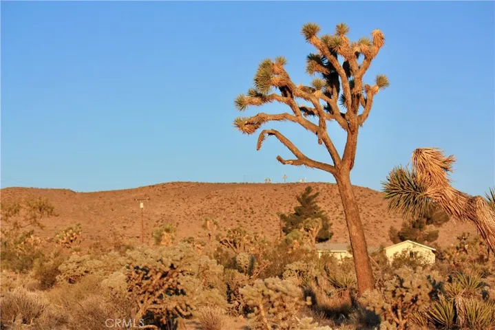 5374 Marvin Drive, Yucca Valley, California 92284 — photo 4