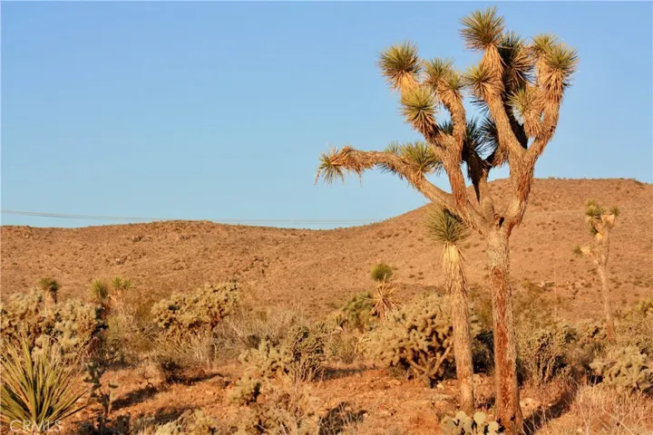 5374 Marvin Drive, Yucca Valley, California 92284 — photo 5