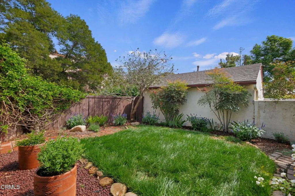 Back yard