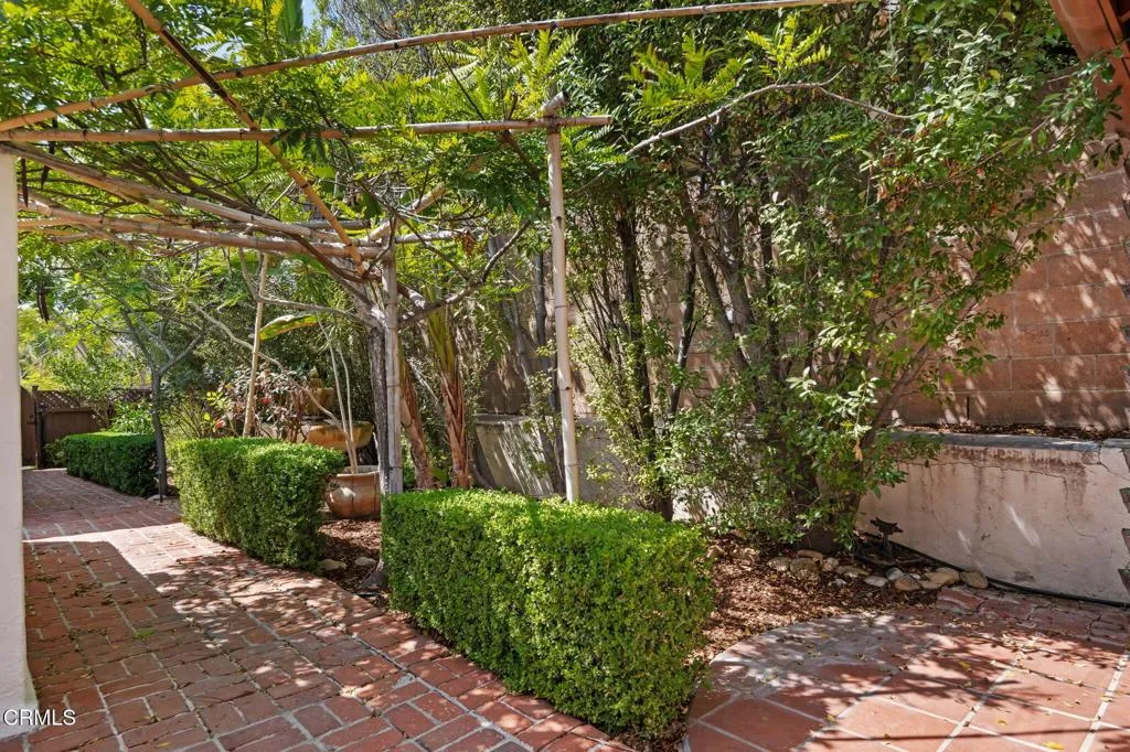Garden area