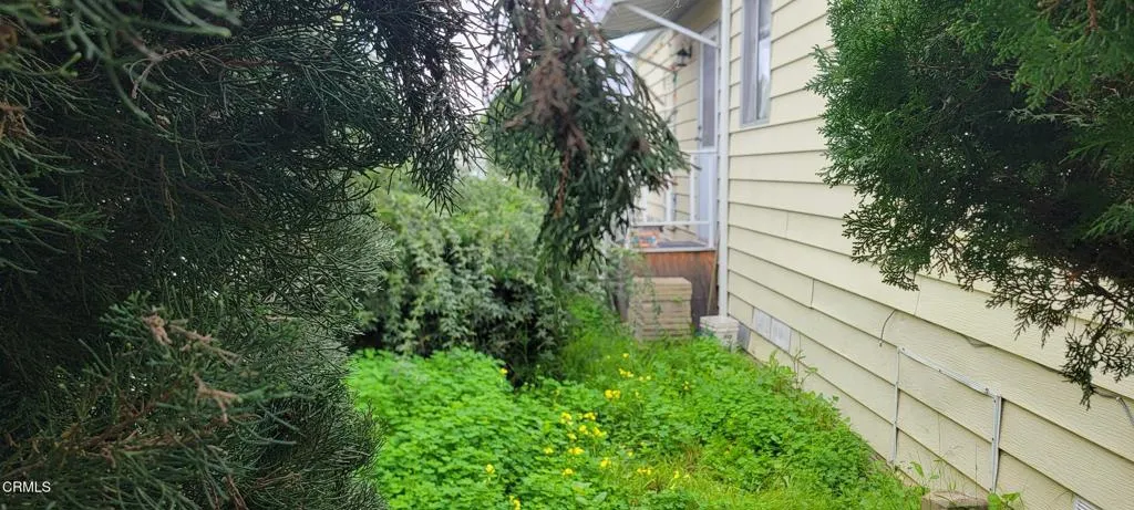 Side yard