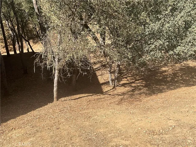 2465 Captains, Bradley, California 93426 — photo 5