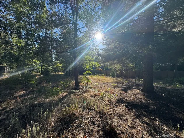 0 Fern Valley Road, Idyllwild, California 92549 — photo 4