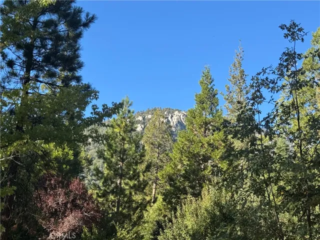 0 Fern Valley Road, Idyllwild, California 92549 — photo 5
