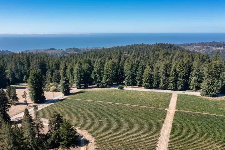 3980 Bonny Doon Road, Santa Cruz, California 95060 — photo 4