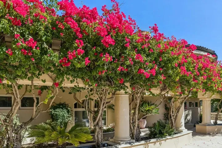 12500 Corbetta Lane, Los Altos Hills, California 94022 — photo 5