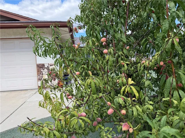 672 Central Avenue W, Hemet, California 92543 — photo 4