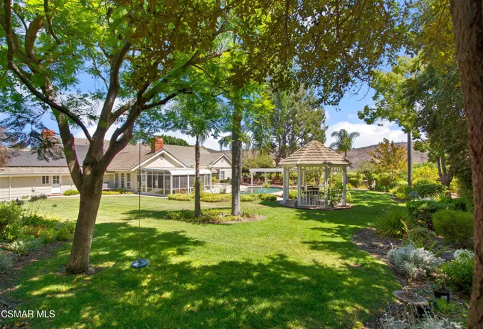 back yard grassy area