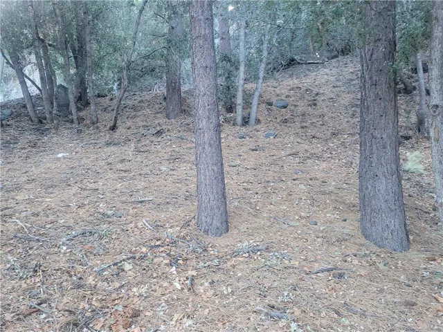 0 Desert View, Wrightwood, California 92397 — photo 4
