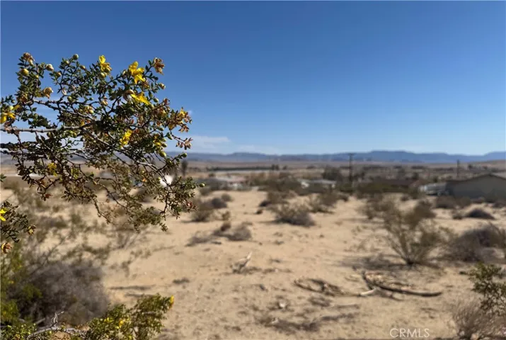 73735 Manana Drive, 29 Palms, California 92277 — photo 5
