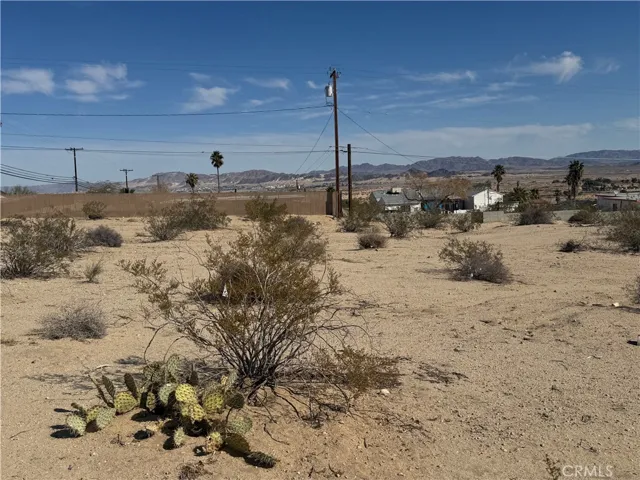 73735 Manana Drive, 29 Palms, California 92277 — photo 4