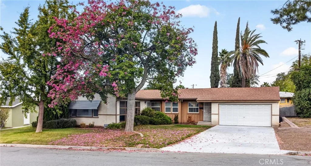 11167 Rosarita Dr