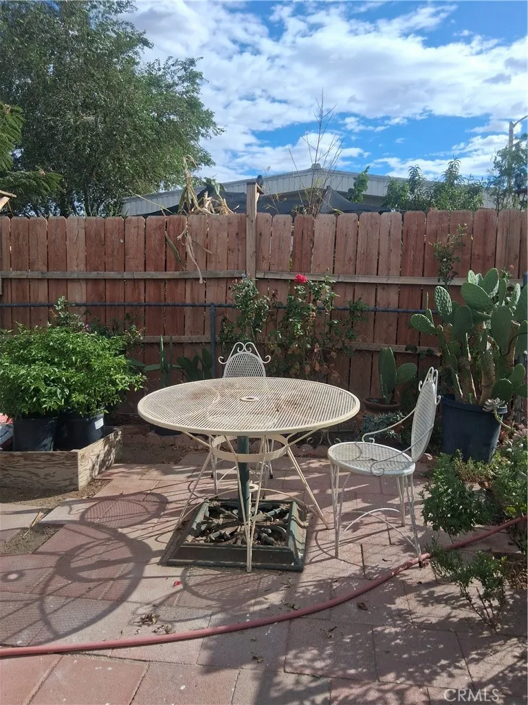 back yard